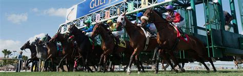 Free Gulfstream Park Picks | OFF TRACK BETTING