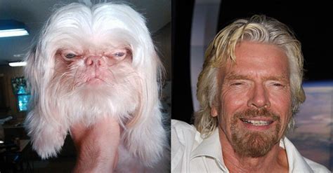 12 Celebrity Snapshots And Their Amazing Canine Look-Alikes | Canine ...