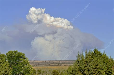 Pyrocumulus Cloud - Stock Image - F031/4359 - Science Photo Library