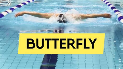 Swimming Butterfly Technique