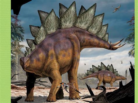 150-million-year-old Stegosaurus stenops was as heavy as a small rhino, scientists say – Homie Daily