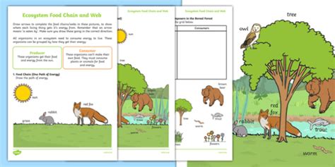 What is an Ecosystem? Types of Ecosystem Teaching Wiki