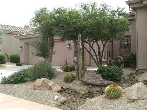 arizona desert landscape ideas - Cicely Moya