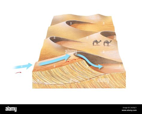 Desert sand dunes. Block diagram of the mechanics of desert sand dune formation and migration ...