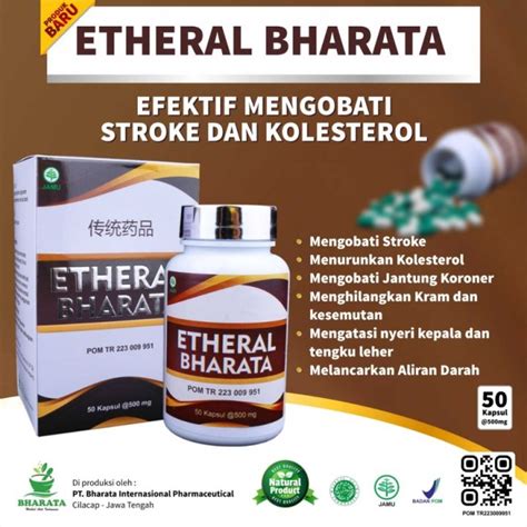 Obat Stroke - Obat Penyakit Stroke Paling Ampuh - Obat Herbal Struk ...