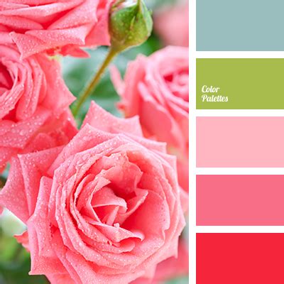 bright pink and green | Color Palette Ideas