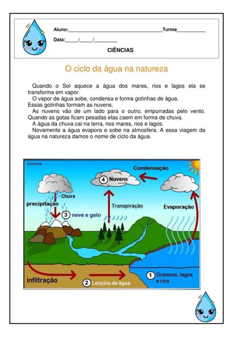 O ciclo da água na natureza - Coruja Pedagógica