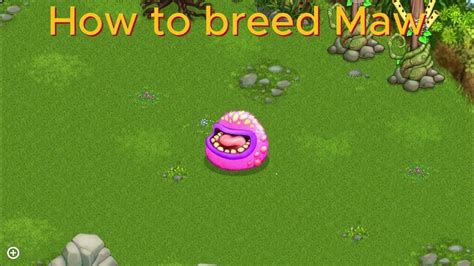 How to breed Maw - YouTube