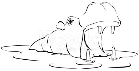 Hippo Stock Vector - FreeImages.com