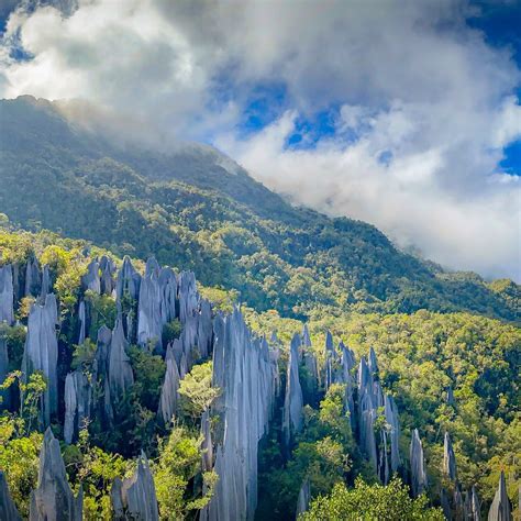 The Gunung Mulu National Park That's Printed On The RM100 Note Is Where ...