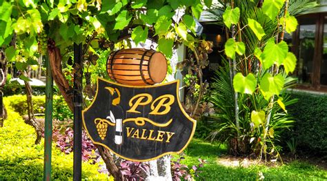 Thailand Bisa Menghasilkan Anggur? Tentu! Jelajahi PB Valley Winery ...