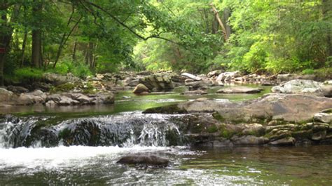 Hellbender Research on the Road and at the National Zoo | Smithsonian's ...