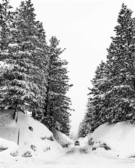 How California's Record Snowfall Will Affect Bike Parks This Year ...