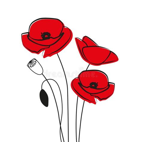 Image result for poppy drawing | Poppy drawing, Poppy flower, Poppies