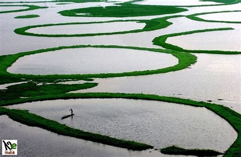 Floating Phumdis of Loktak Lake, India | Amusing Planet