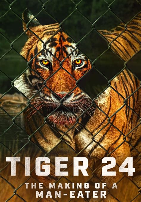 Tiger 24 streaming: where to watch movie online?