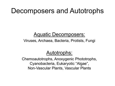 Aquatic Decomposers