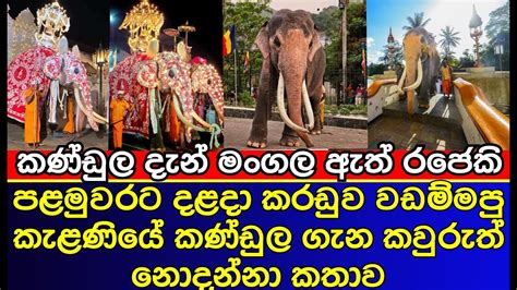 පළමු වරට දළදා කරඬුව වඩම්මන කණ්ඩුල ගේ කතාව | Nuwara Perahera 2023 | Kandy Esala | es productions ...