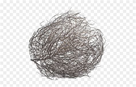 tumbleweed png 10 free Cliparts | Download images on Clipground 2024