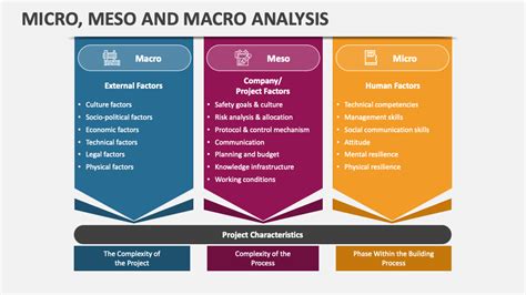 Micro Meso and Macro Analysis PowerPoint Presentation Slides - PPT Template