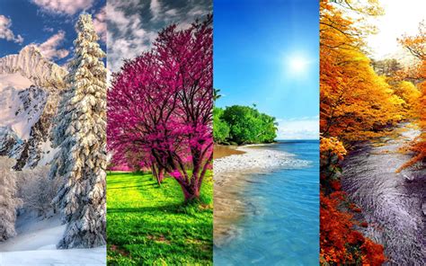 Download wallpapers 4 seasons, 4K, winter, spring, summer, autumn ...