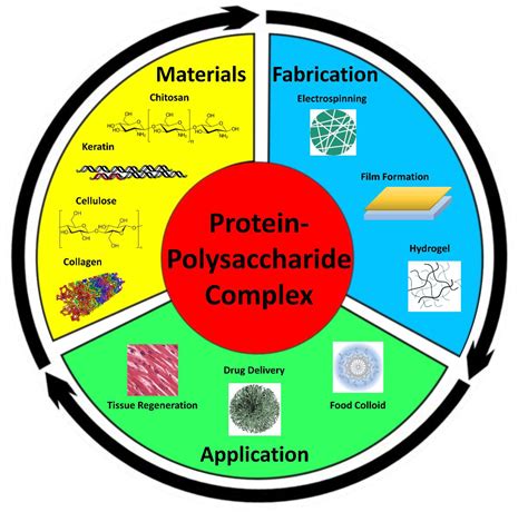 Proteins Polymers