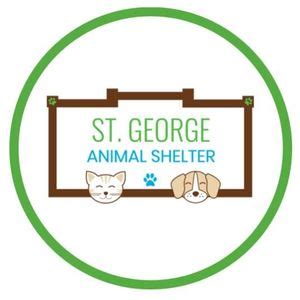 Vote for St. George Animal Shelter to share $500,000