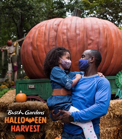 Busch Gardens Williamsburg - ALL-NEW Busch Gardens Halloween Harvest ...