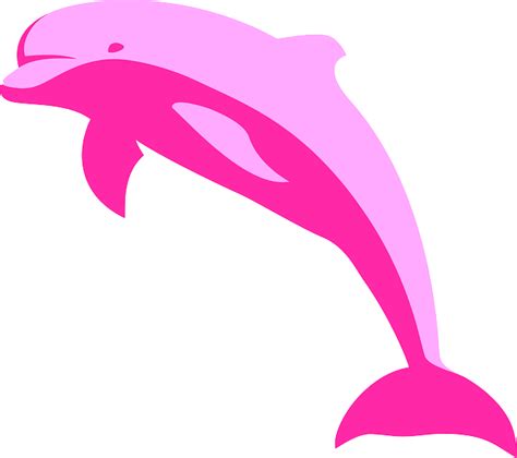 Download Dolphin, Mammal, Pink. Royalty-Free Vector Graphic - Pixabay