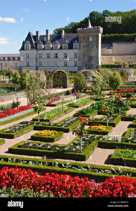 Gardens of the Chateau de Villandry,Indre et Loire, France Stock Photo - Alamy