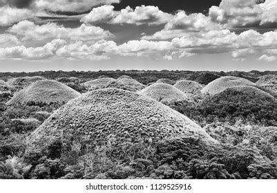 Amazing Chocolate Hills Bohol Island Philippines Stock Photo 1129525916 | Shutterstock