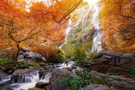 Khlong Lan Waterfall is a Beautiful Waterfalls in the Rain Forest ...