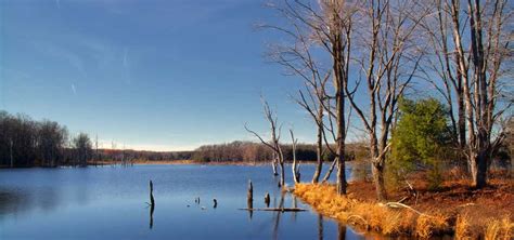 Beaver Run Dam Wildlife Viewing Area, Weedville | Roadtrippers