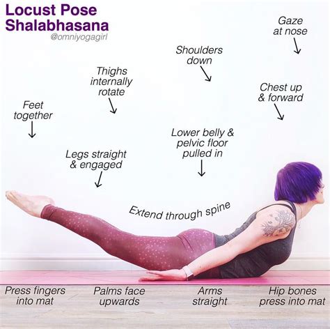 ⭐️ #TriYogaSchool ⭐️ This weeks pose is #locustpose or #shalabhasana & I’m showing Shalabhasana ...