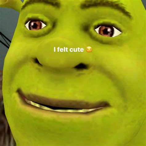 Shrek Profile Memes