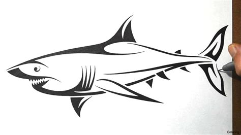 Great White Shark Outline Drawing at PaintingValley.com | Explore collection of Great White ...