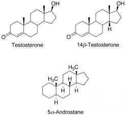 Steroid Biosynthesis - Pharmaceutical Chemistry