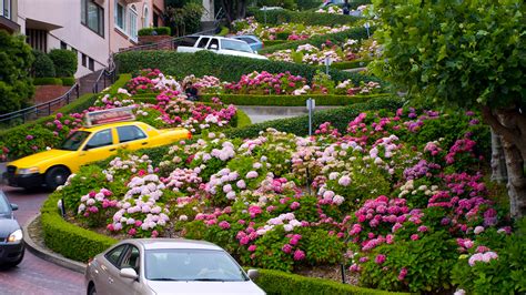 Lombard Street in San Francisco – A Crooked Delight | DocumentaryTube