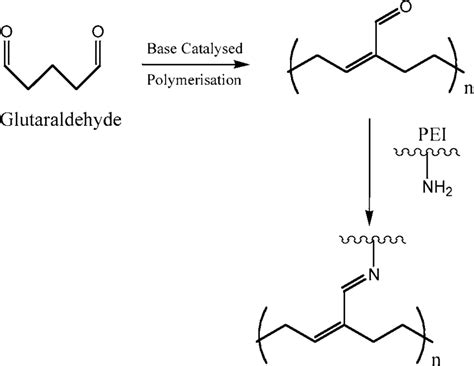 Mechanism for glutaraldehyde cross-linking reaction with PEI ...