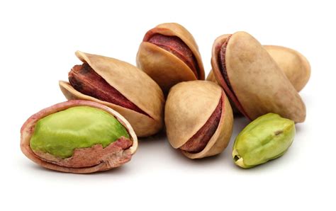 Pistachio nut | food | Britannica