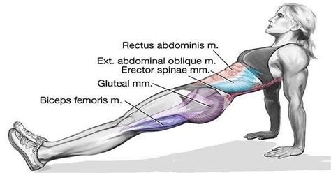 Do Reverse Plank To Tighten Your Core And Lower Body