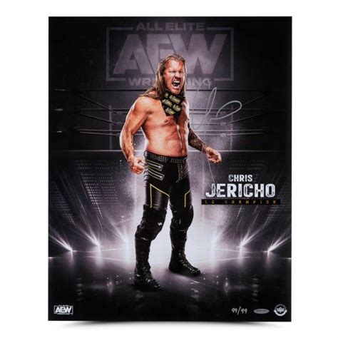 Chris Jericho Autographed “AEW Stage” 16x20