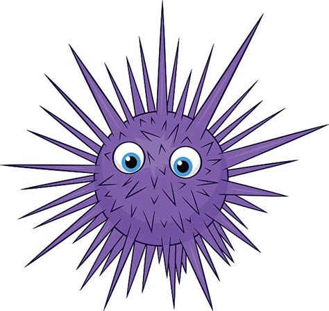 Cartoon Of A Sea Urchins Illustrations, Royalty-Free Vector Graphics & Clip Art - iStock