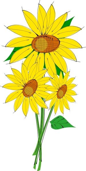 Sunflowers clip art Free vector in Open office drawing svg ( .svg ...