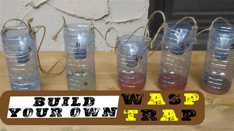 DIY Wasp Trap - What Works Best?? - YouTube