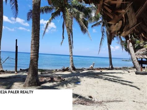 Beach Lot for Sale ( Tapel Oas Albay )