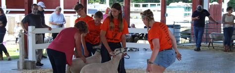 Home - The Saratoga County Fair