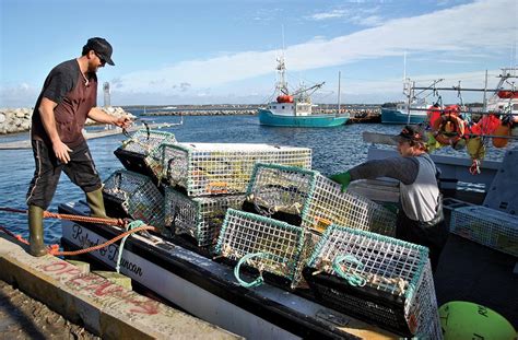 Navigator Magazine | Lobster Season Underway in Southwest Nova Scotia