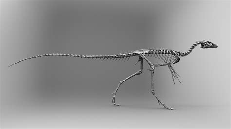 Compsognathus longipes on Behance