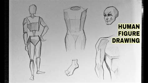 How To Draw Human Anatomy For Beginners : Body Anatomy Drawing ...